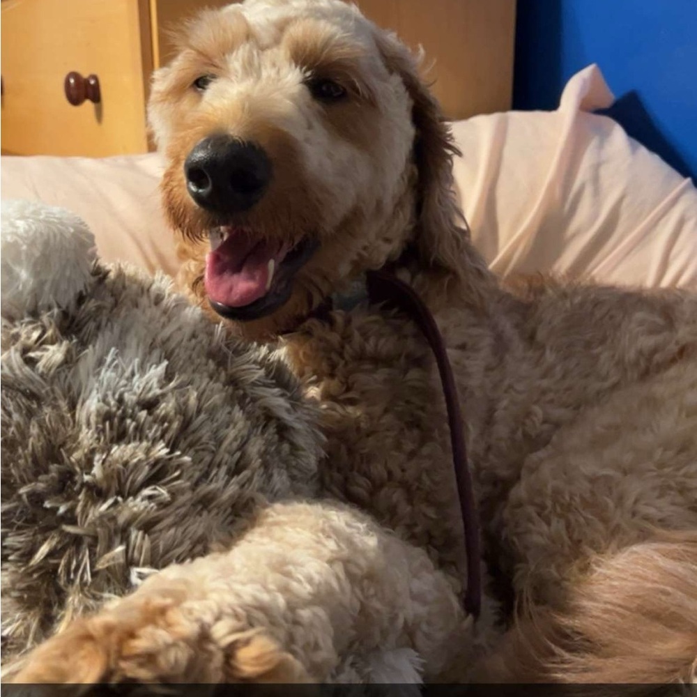 2916 - Listed Clothing - @ParkSo25